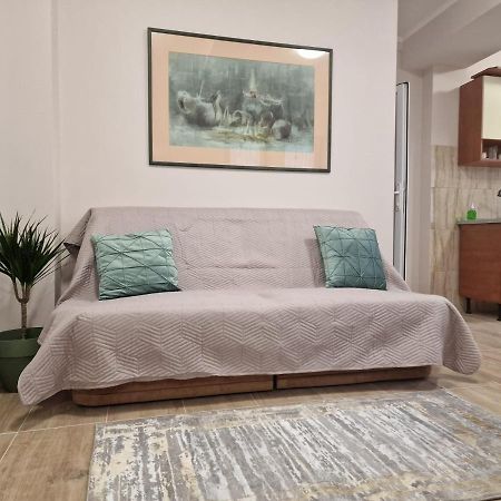 Laroka House Beautiful Apartment Universitate Center Bukarest Eksteriør billede